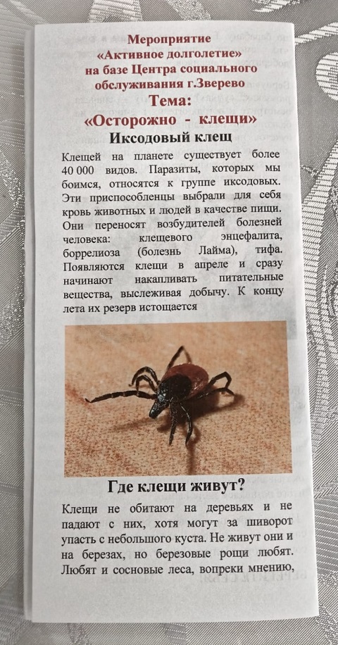 IMG 20240517 WA0008